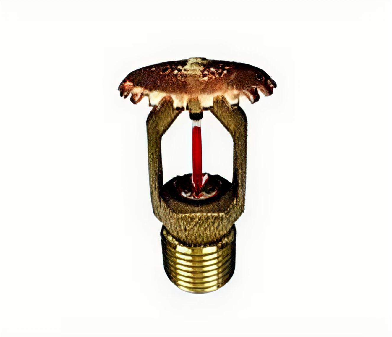 ADAPTADOR HEMBRA CON ROSCA DE METAL CPVC BLAZEMASTER