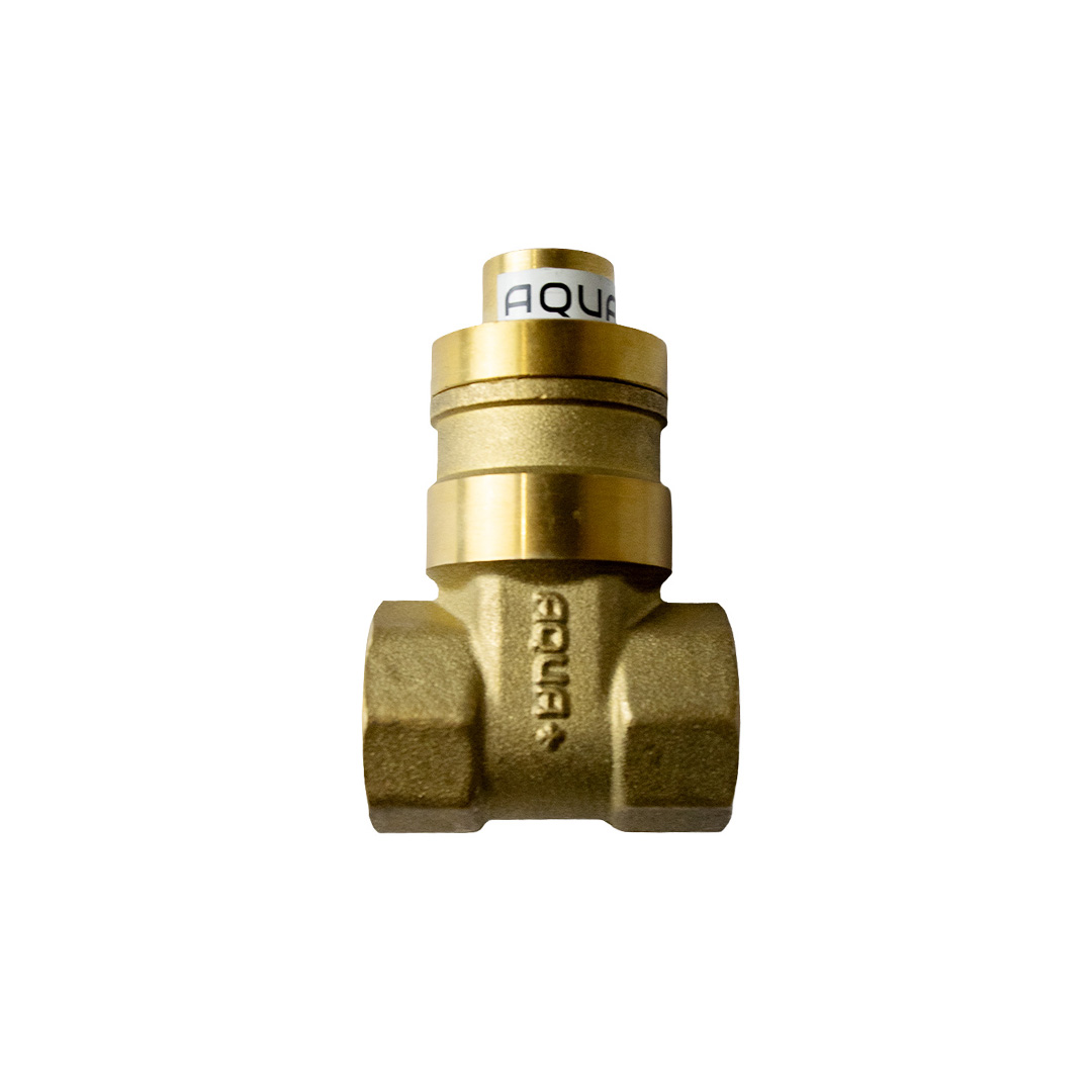 Valvula antifraude de Bronce Vamka